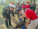 «Волонтёры Победы» Гусь-Хрустального района организовали посадку молодых сосен