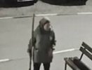 Под покровом ночи кольчугинская пенсионерка обокрала все клумбы