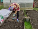 Сорняк сам высохнет за неделю: перестаньте гнуть спину и воспользуйтесь вот чем