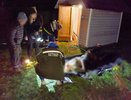 В Киржачском районе пожилой мужчина погиб после падения в колодец