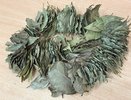 Лавровый лист засыпаю солью — весь май пляшу от счастья, радуясь этой хитрости: гениальный лайфхак и для квартиры, и для дачи