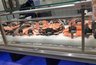 Миниатюра новости: Учёные назвали самую полезную рыбу — это не тунец, не палтус и она в два раза питательнее лосося