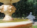 Когда в Россию придёт адская жара: синоптик Роман Вильфанд определил сроки