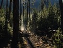 В Киржачском районе ограничили доступ в леса вокруг воинской части