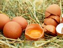 Яичную скорлупу заливаю уксусом — пляшу от счастья весь май: гениальный лайфхак от советских садоводов