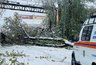 Миниатюра новости: В Александровском районе 2,5 тысячи жителям перекрыло подачу электроэнергии