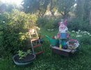 Развожу 50 мл. на 10 л. и везде опрыскиваю этим раствором — муравьи исчезнут: особенные трюки от вредителей