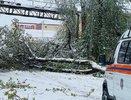После циклона в регионе заменили более 100 пролётов линий электропередачи