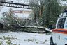 Миниатюра новости: После циклона в регионе заменили более 100 пролётов линий электропередачи