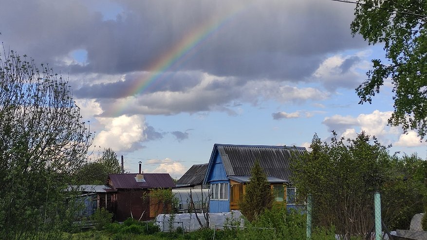 Главная картинка новости: Дедовское средство против вредителей: за считаные секунды уничтожает тлю и изгоняет муравьев с участка — ловчий пояс не понадобится