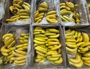 Вот для чего продавцы «Магнитов» и «Пятёрочек» забирают себе из ящиков с бананами маленькие незаметные пакетики