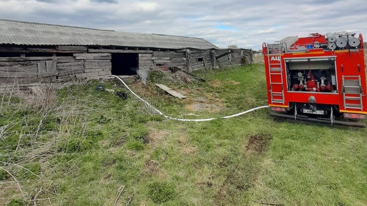 Главная картинка новости: В Александровском районе сгорел большой сарай с сеном