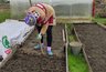 Миниатюра новости: На участке теперь красота и покой: сорняки больше не донимают — обычные методы избавили от ненужной травы навсегда