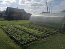 В мае всегда закапываю в огороде тряпку — необычный, но действенный совет от французских фермеров