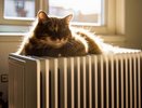 В Киржаче и районе продлили отопительный сезон