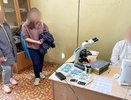Во Владимире два участника ритуального бизнеса оштрафованы за взятки и посредничество
