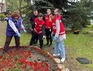 У главного входа больницы Скорой помощи во Владимире создали цветочные композиции