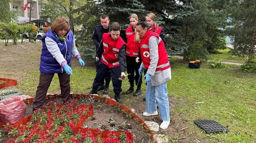 Главная картинка новости: У главного входа больницы Скорой помощи во Владимире создали цветочные композиции