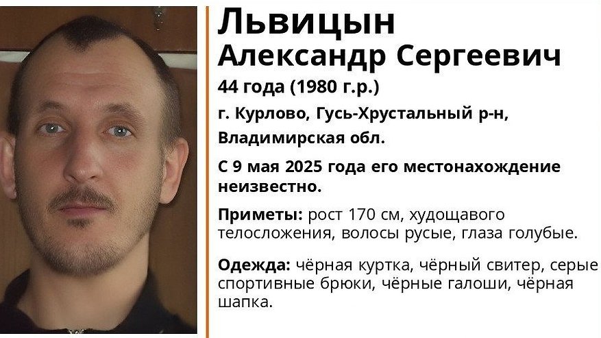 Главная картинка новости: Во Владимирской области разыскивают пропавшего 44-летнего жителя города Курлово