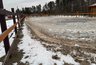 Миниатюра новости: Директора туристической базы в Петушинском районе будут судить за падение ребёнка с лошади