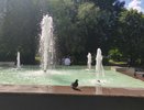 «Страдать будем все»: метеоролог Вильфанд назвал точную дату, когда адская жара накроет Россию