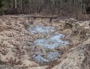 Экологическое преступление раскрыли на озере Чернецкое в Судогодском районе
