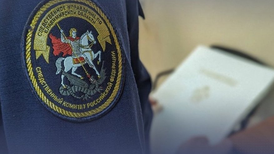 Главная картинка новости: Глава СК РФ назначил проверку скандального дела об опеке во Владимирской области