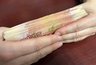 Миниатюра новости: Жительница Владимира похитила деньги из сломанного банкомата
