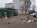 В Кольчугинском районе придомовые территории оказались забросаны мусором