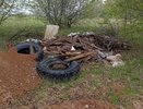 В лесах Юрьев-Польского района обнаружили три незаконные свалки