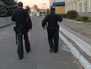 В Ковровском районе мать и сын при задержании напали на полицейских