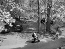В Гусь-Хрустальном ищут сбившего ребенка водителя электросамоката