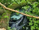 Владимирские спасатели вызволили автомобиль из-под рухнувшего дерева после ливня