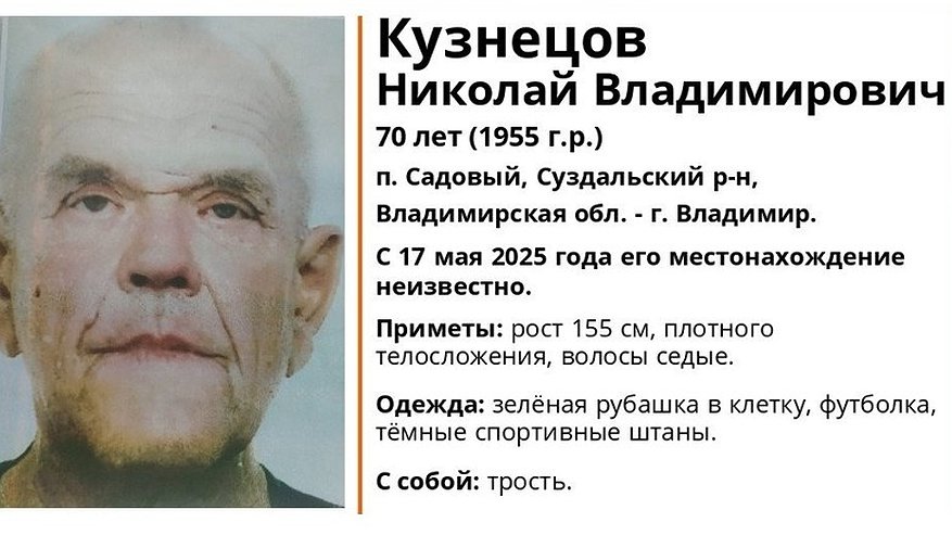 Главная картинка новости: Под Суздалем пропал 70-лений пенсионер в зеленой клетчатой рубашке и с тростью