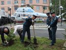 Сотрудники МЧС Владимирской области высадили восемь туй в память о погибших воинах
