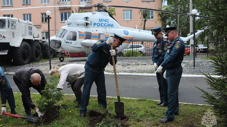 Главная картинка новости: Сотрудники МЧС Владимирской области высадили восемь туй в память о погибших воинах