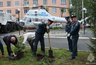 Миниатюра новости: Сотрудники МЧС Владимирской области высадили восемь туй в память о погибших воинах