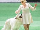 Жительница Владимирской области выиграла «серебро» на танцевальном турнире с псом