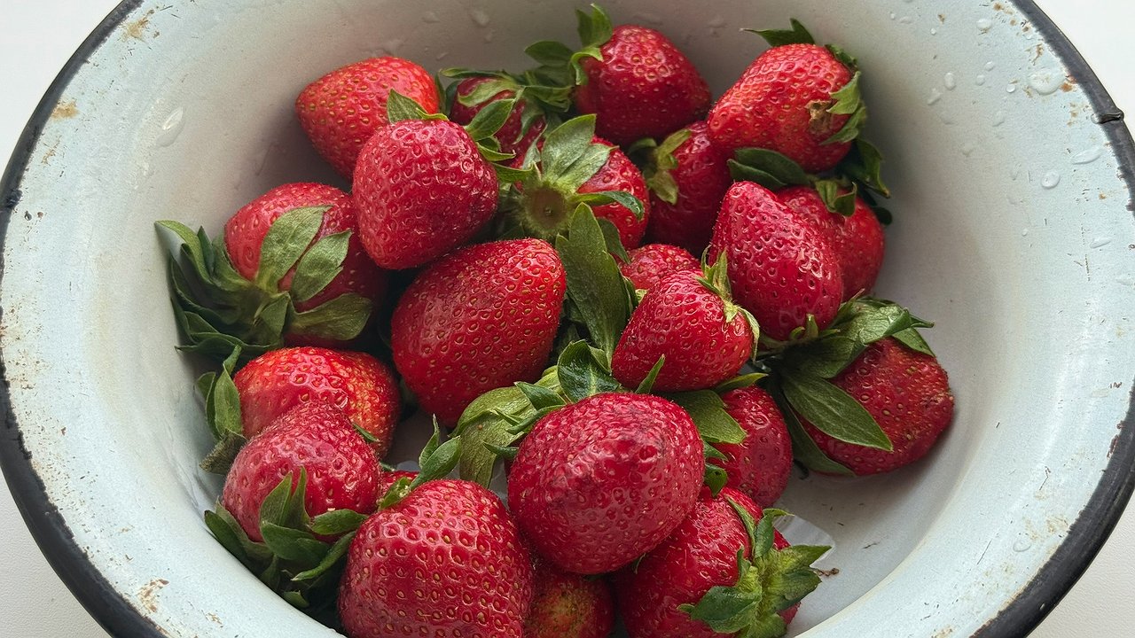 Главная картинка новости: От сухих завязей клубники – обязательно: всего 2 г растворить в воде – и кусты обсыплет алыми ягодами за считаные дни