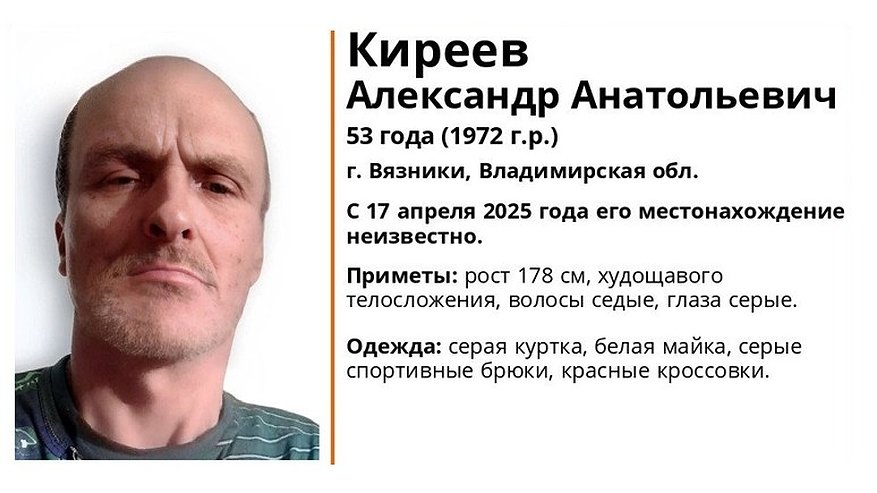 Главная картинка новости: В регионе ищут 53-летнего жителя Вязников в серой куртке и красных кроссовках