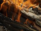 С начала года во Владимирской области было зафиксировано 22 лесных пожара