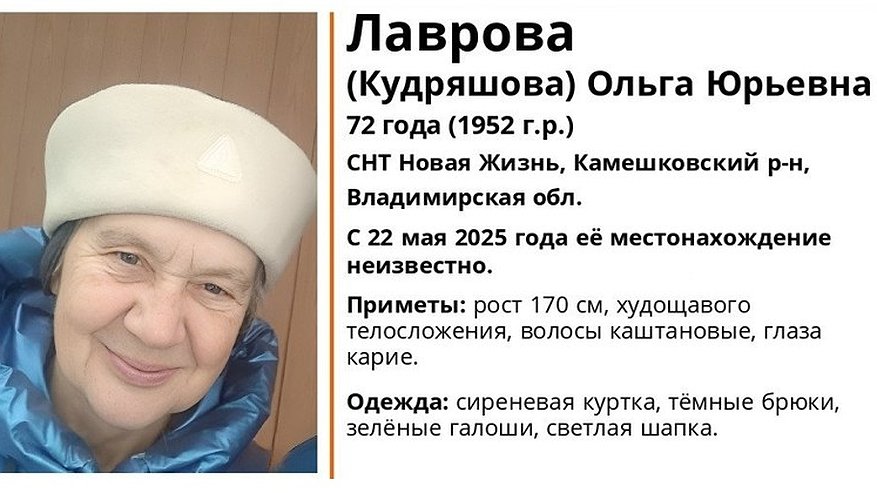 Главная картинка новости: В регионе разыскивают пропавшую 72-летнюю пенсионерку из Камешковского района