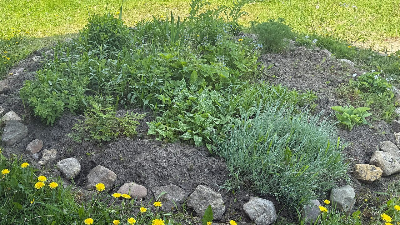 Главная картинка новости: Не повторяйте ошибку: названы виды мульчи, которые губят сад весной – вот чего нужно избегать