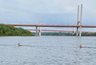Миниатюра новости: Под Муромом косули устроили заплыв по Оке