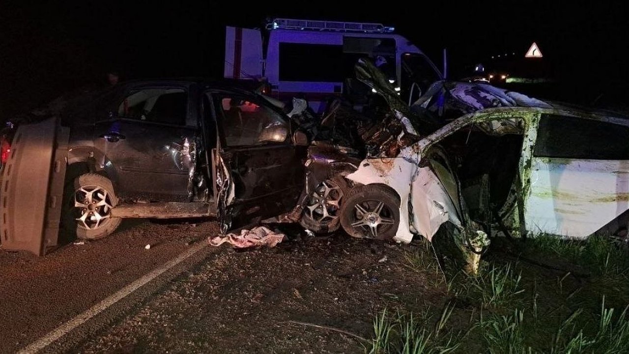 Главная картинка новости: Серьезное ДТП в Судогодском районе: две легковушки столкнулись с лосем