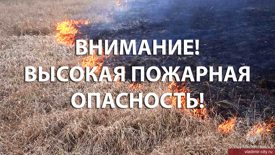 Главная картинка новости: Во Владимирской области ожидается высокая пожарная опасность