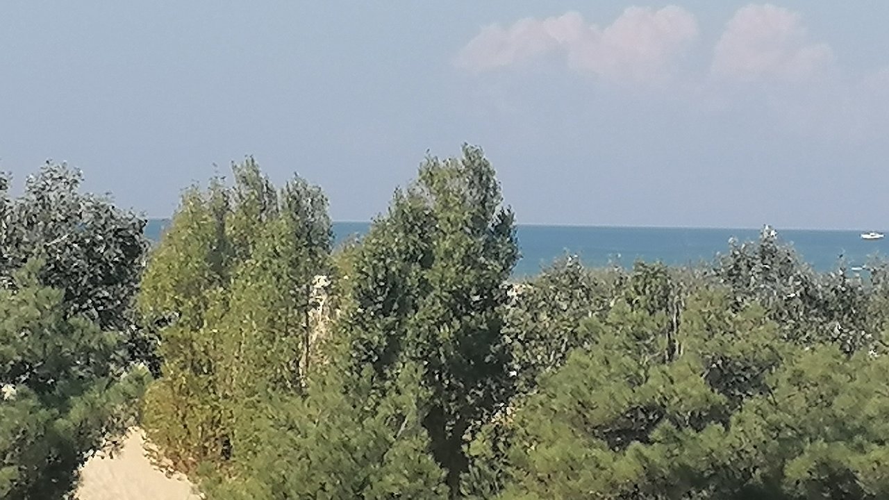 Главная картинка новости: Началось: туристы на Черном море делятся неприятными наблюдениями про курорт. Но не про цены и мазут