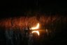 Миниатюра новости: В Суздале проходит выставка света в самых разных скульптурах