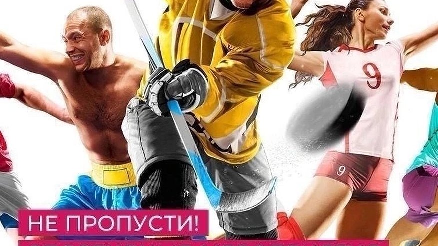 Главная картинка новости: Стрельба, собаководство, и другие турниры во Владимирской области