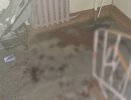 Жители многоквартирного дома во Владимире обнаружили залитый кровью подъезд